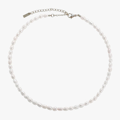 Zoetwaterparel Choker met Gouden PVD Coating voor Dames